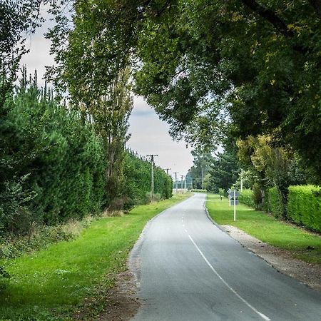 Mount Thomas Road B&B Rangiora Exterior foto